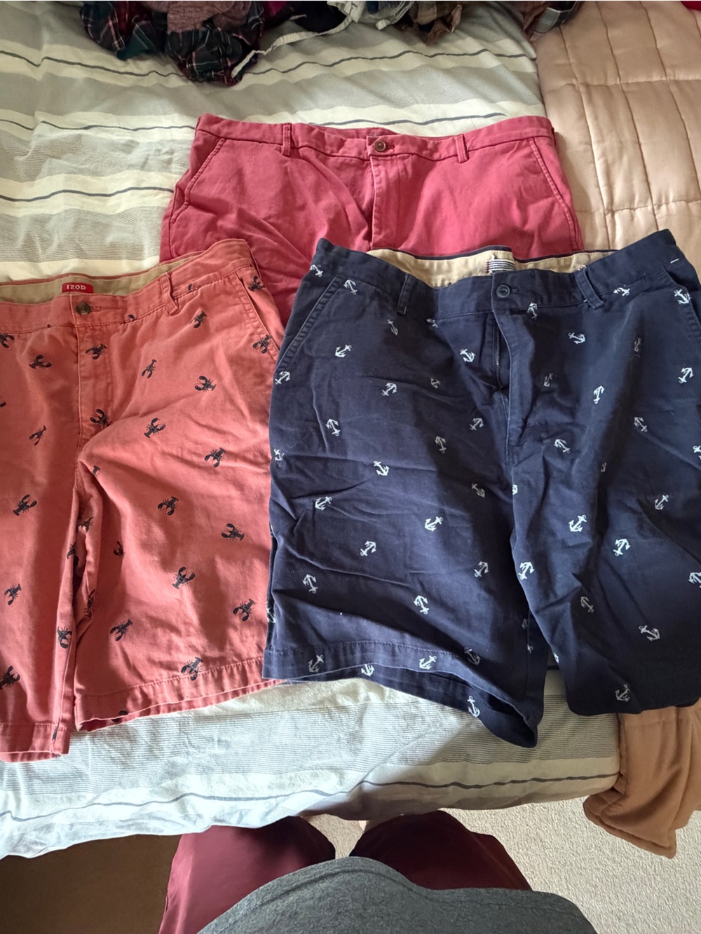 Izod Anchor Print Cotton Shorts - Navy, Coral, and Pink